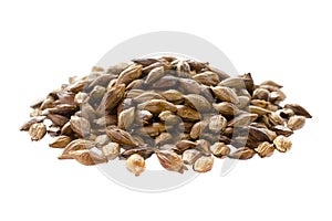 Pile of barley tea isolated on white background, top view. Malted and roasted barley isolated on white background.