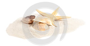 Pile of beach sand with  starfish and sea shells on white background