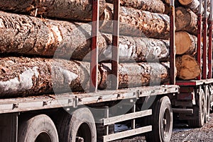 Pile of big trunks on a wagon