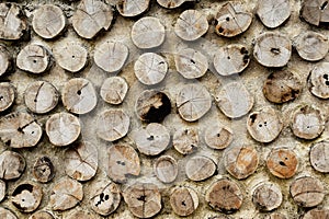 Pile of a birch firewood