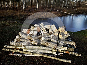 Pile of birch firewood near pond in early spring