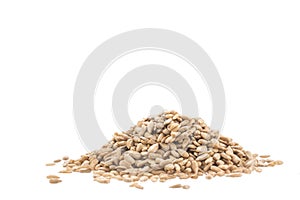 Pile of black sunflower seeds isolated on white