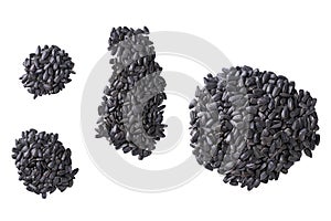 Pile of black sunflowers seeds isolated on a white background. Top view