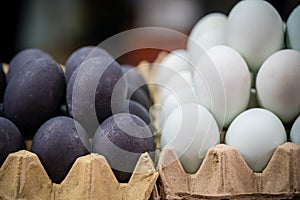 Pile of black and white eggs for sale