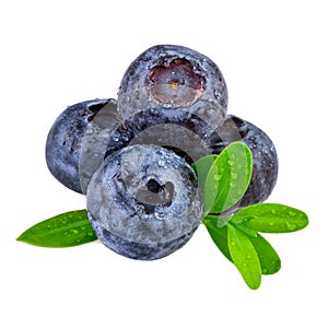 Pile of blueberries isolated on white