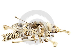 Pile of bones