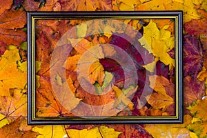 A pile of bright autumn leaves in the shape of a photo frame isolated on a white background. The view from the top