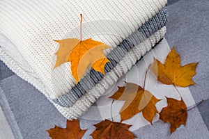 A pile of bright autumn leaves on a textile knitted background of plaid and sweaters
