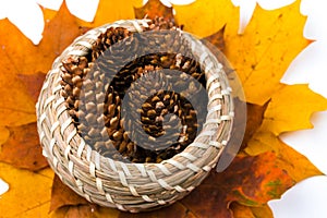 A pile of bright autumn leaves, a wicker basket with cones, an empty space for text