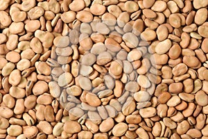Pile of broad beans