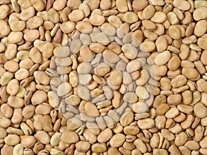 Pile of broad beans,