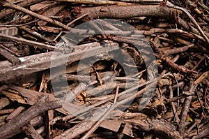 Pile of broken wood