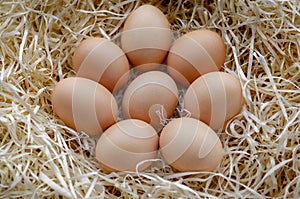 A pile of brown eggs in a nest. chicken eggs basket on the hey