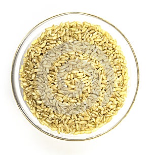 A pile of brown rice in a white bowl, isolated on a white background, top view