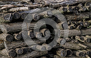 Pile of Brown wooden logs