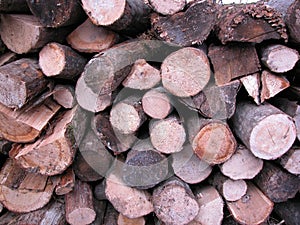 Pile of Burning Wood