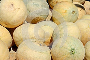 Pile of cantaloupe or muskmelons