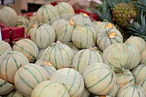 Pile of Charentais Melons in market