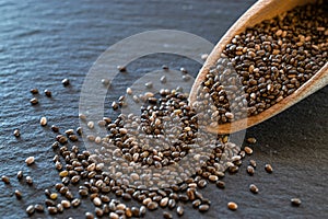 Pile chia flax seeds isolated on black food background. Healthy superfood in wooden spoon. Salvia hispanica antioxidant grains on