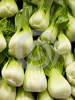 A Pile of Chinese cabbage - Bok Choi