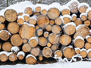 Pile of chopped fire wood prepared for winter