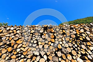 Pile of Chopped Firewood on Blue Sky