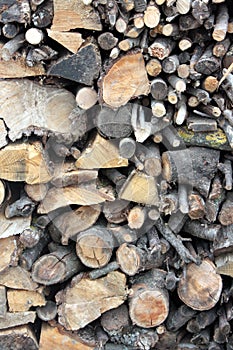 Pile of chopped firewood prepared for the winter photo