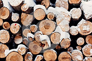 Pile of chopped wood covered with snow