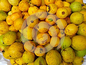 Pile of citrons photo
