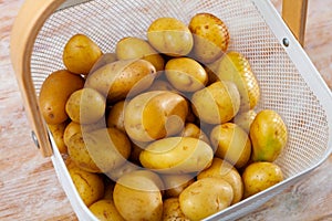 Pile of clean young potato tubers in basket