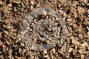 The pile of coconut husk for agriculture