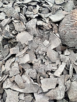 pile of coconut shell charcoal, which has gone through the burning process.