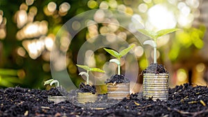 A pile of coins with green plants depends on the concept of business and financial success.
