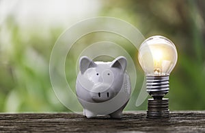 A pile of coins placed on a stick with a light bulb on top of the coin. piggy bank on the side