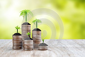 Pile of coins is stacked in a graph shape with sapling of a growing tree for money saving