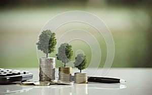 Pile of coins with the tree on top put on the wooden plate,in soft nature  background