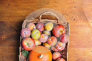 Pile of colorful freshly picked plums Mirabelles red yellow green apples pumpkin in wicker basket on wood garden table. Autumn