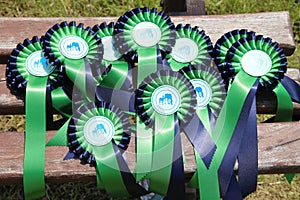 Pile of colorful ribbons for prize winner horse breeders