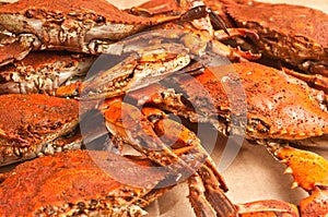 Pile of colossal, steamed and seasoned chesapeake blue claw crabs