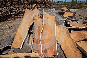 Pile of cork for the cork industry