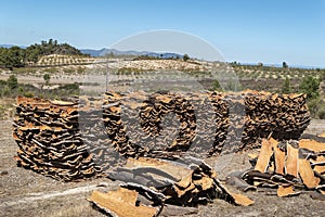 Pile of cork for the cork industry