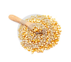 Pile of corn kernels isolated