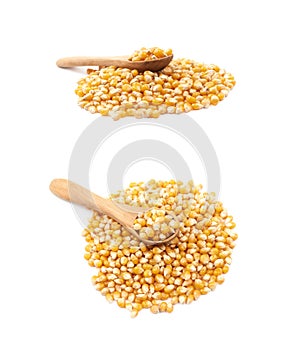 Pile of corn kernels isolated