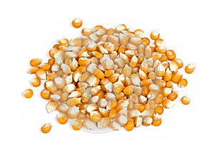 pile of corn kernels isolated on white background