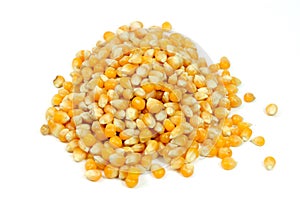 Pile of corn seeds on white