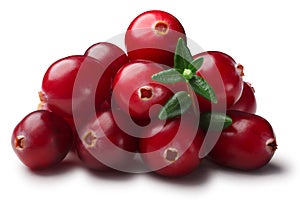 Pile of cranberries with leaves, paths