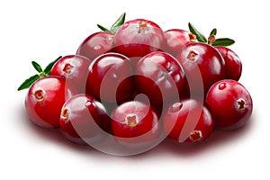 Pile of cranberries, paths