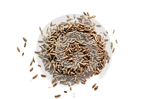 Pile of cummin seeds