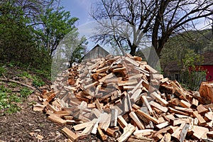 Pile of cut firewood, banat-romania