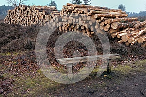 Pile of cut logs on heathland with bench in foreground